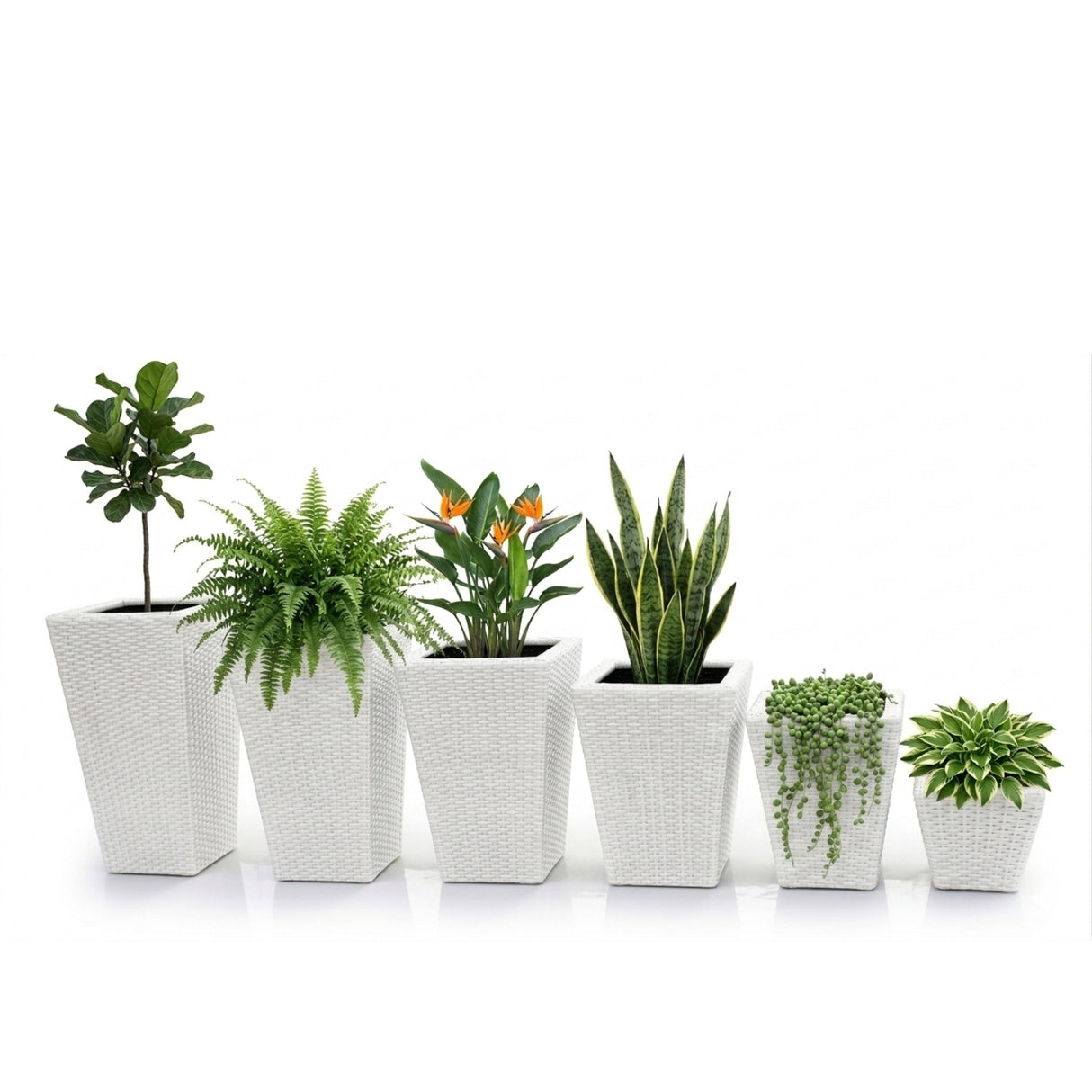 Tall Tapered Set of 6 Outdoor Wicker Planter (White)