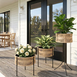 Outdoor Rattan Wicker Planter Set of 3 (Beige)