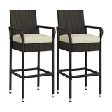 Outdoor Rattan Wicker 2-Piece Bar Chairs