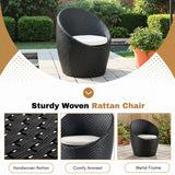 Outdoor Rattan Wicker 3-Piece Conversation Set