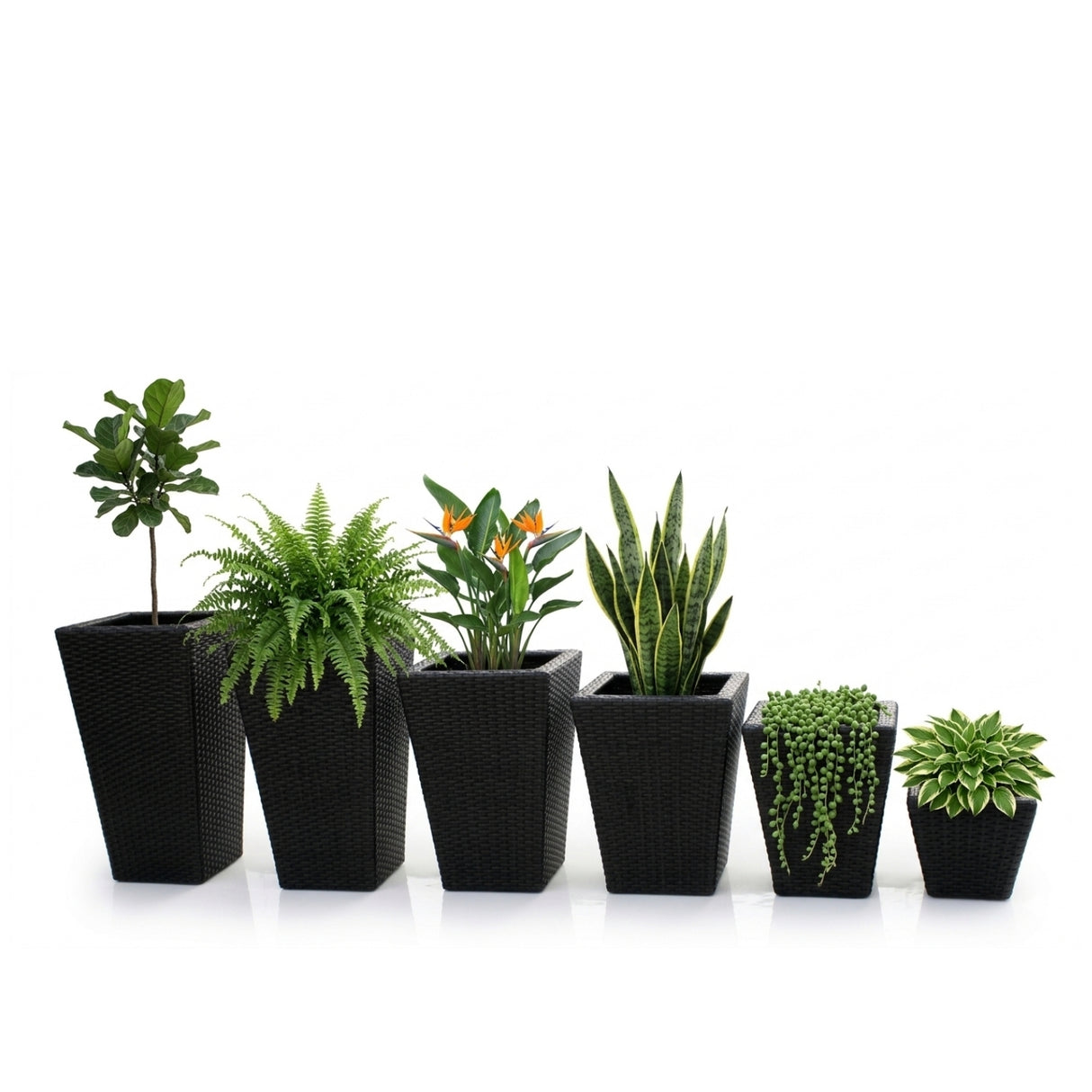 Tall Tapered Set of 6  Outdoor Wicker Planter (Black)