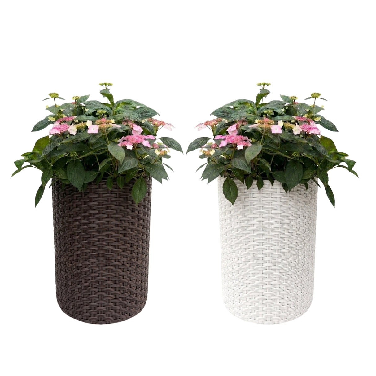 Outdoor Wicker 2-Piece Tall Round Planter Set (Dark Brown & White)