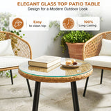 Outdoor Wicker 3-Piece Patio Set